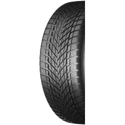 Шины Dunlop Winter 205/55 R19 Thumb