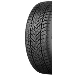 Anvelope Dunlop Winter 235/50 R19 103V XL Thumb