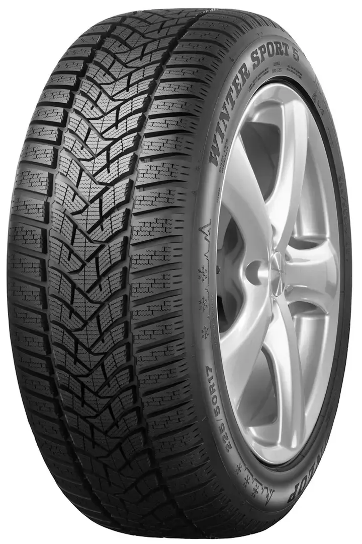 Шины Dunlop Winter Sport 5 255/45 R19 104V