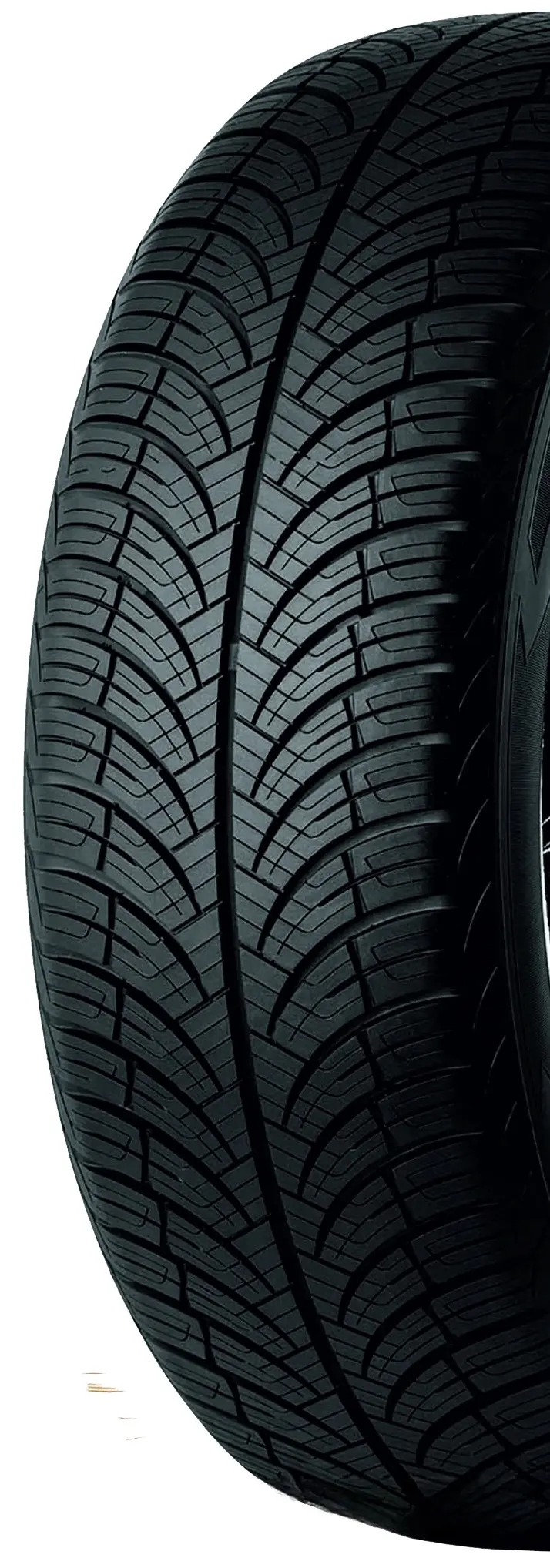 Шины Fronway Fronwing A/S 195/55 R16 91V - 2