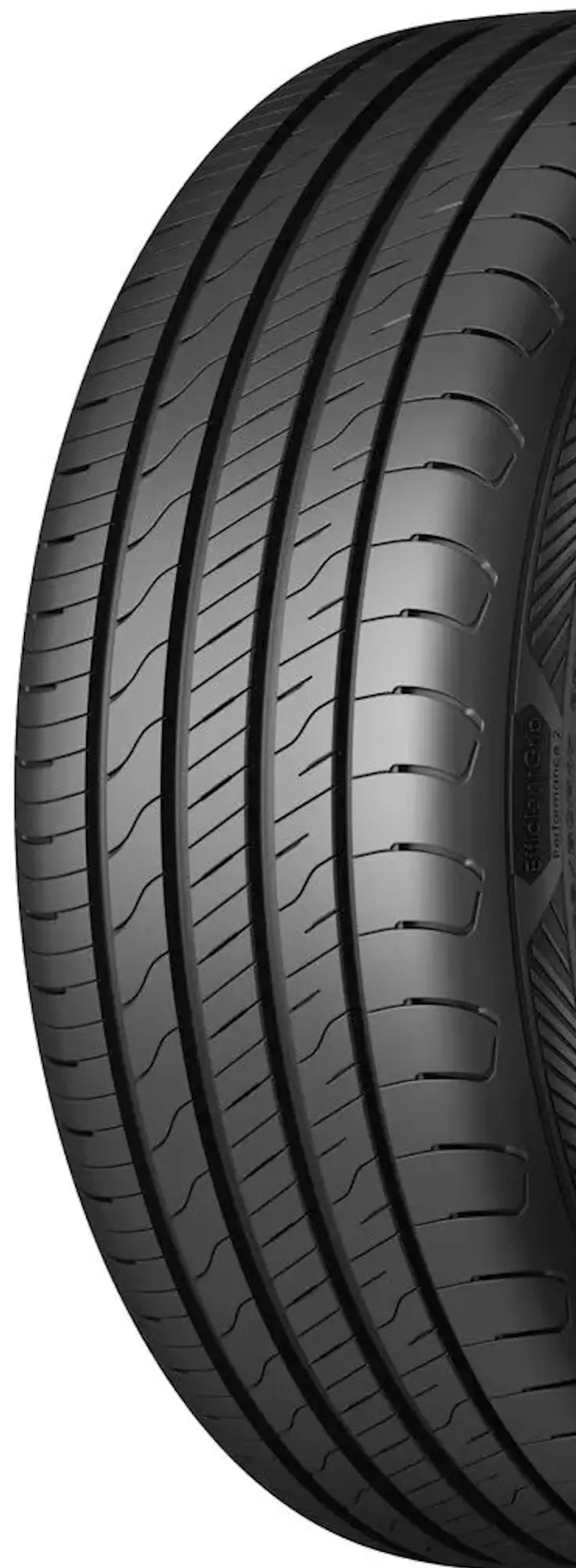 Шины Goodyear EfficientGrip Performance 2 205/55 R19 97V XL - 2
