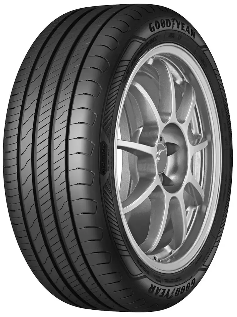 Шины Goodyear EfficientGrip Performance 2 205/55 R19 97V XL