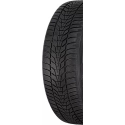 Шины Hankook Winter i'cept evo3 W330 255/50 R20 109V Thumb