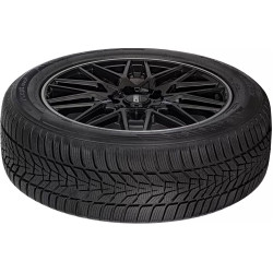 Шины Hankook Winter i'cept evo3 W330 255/50 R20 109V Thumb