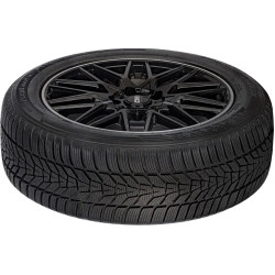 Шины Hankook Winter i'cept evo3 X W330A 275/40 R20 106V XL Thumb