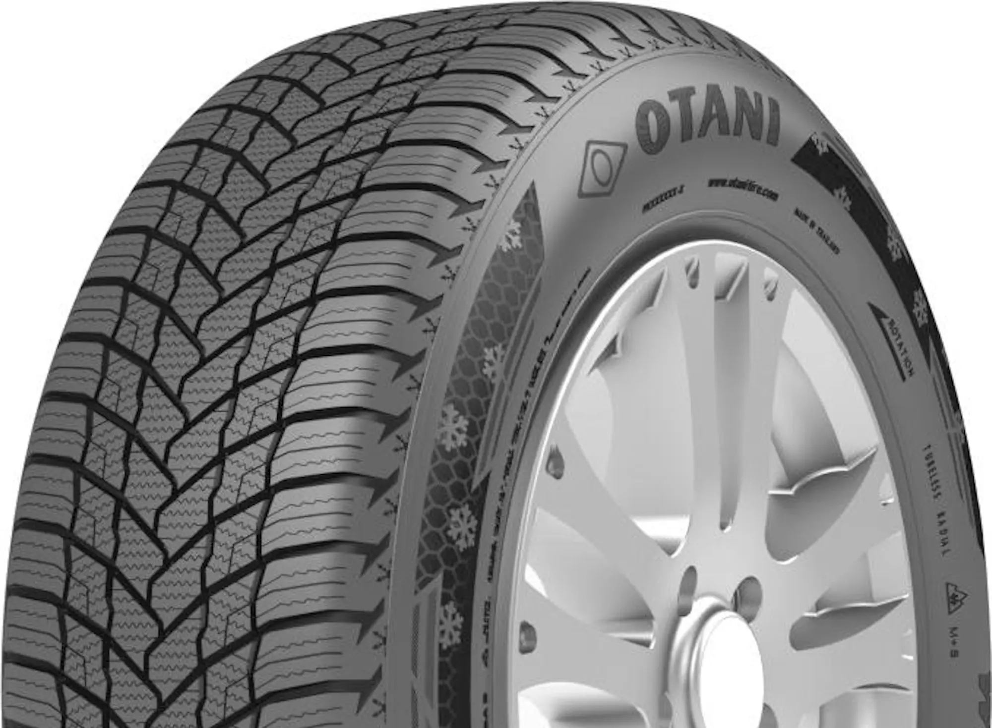 Шины Otani WE1000 185/65 R14 86T