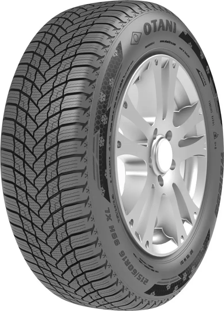 Шины Otani WE1000 185/65 R14 86T