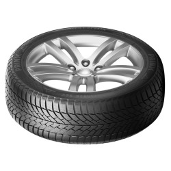 Шины Prinx Winter Excelia 235/55 R19 105V Thumb