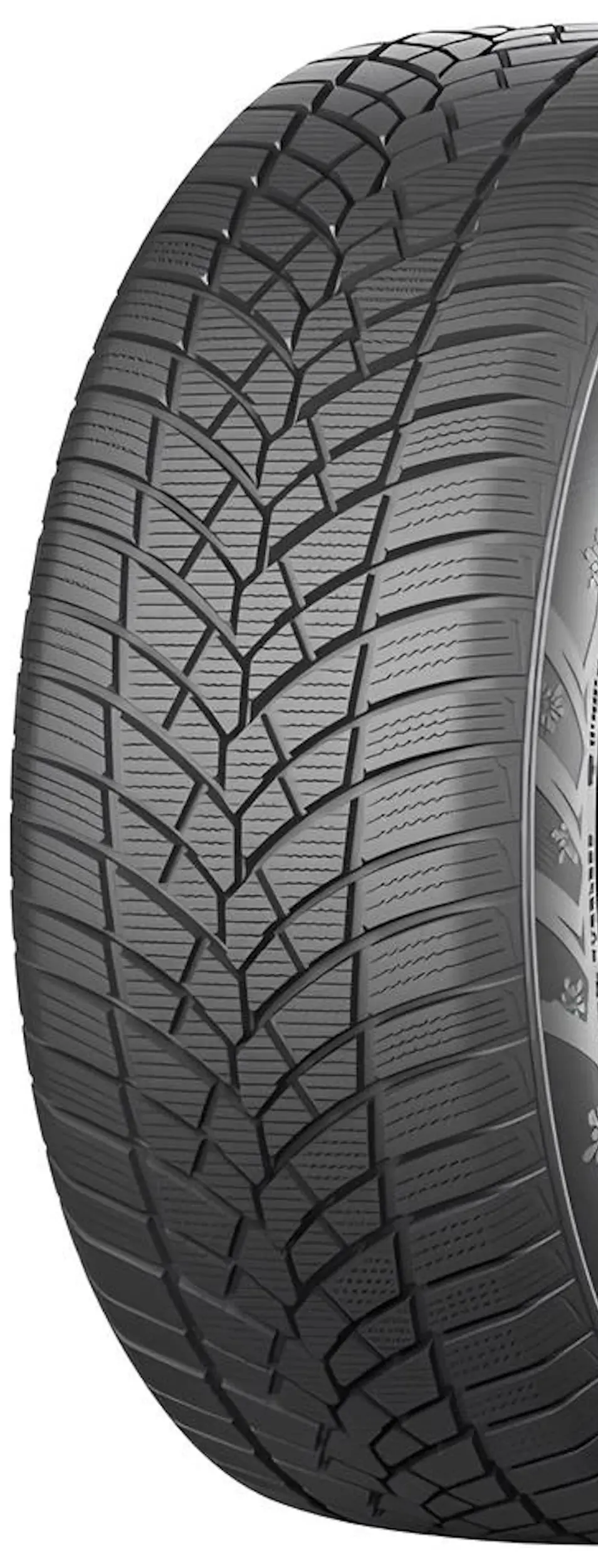 Шины RoadX Frost Tempo 215/60 R17 100V XL - 2