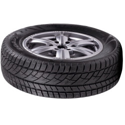 Шины RoadX RxFrost WU01 225/40 R19 93V XL Thumb