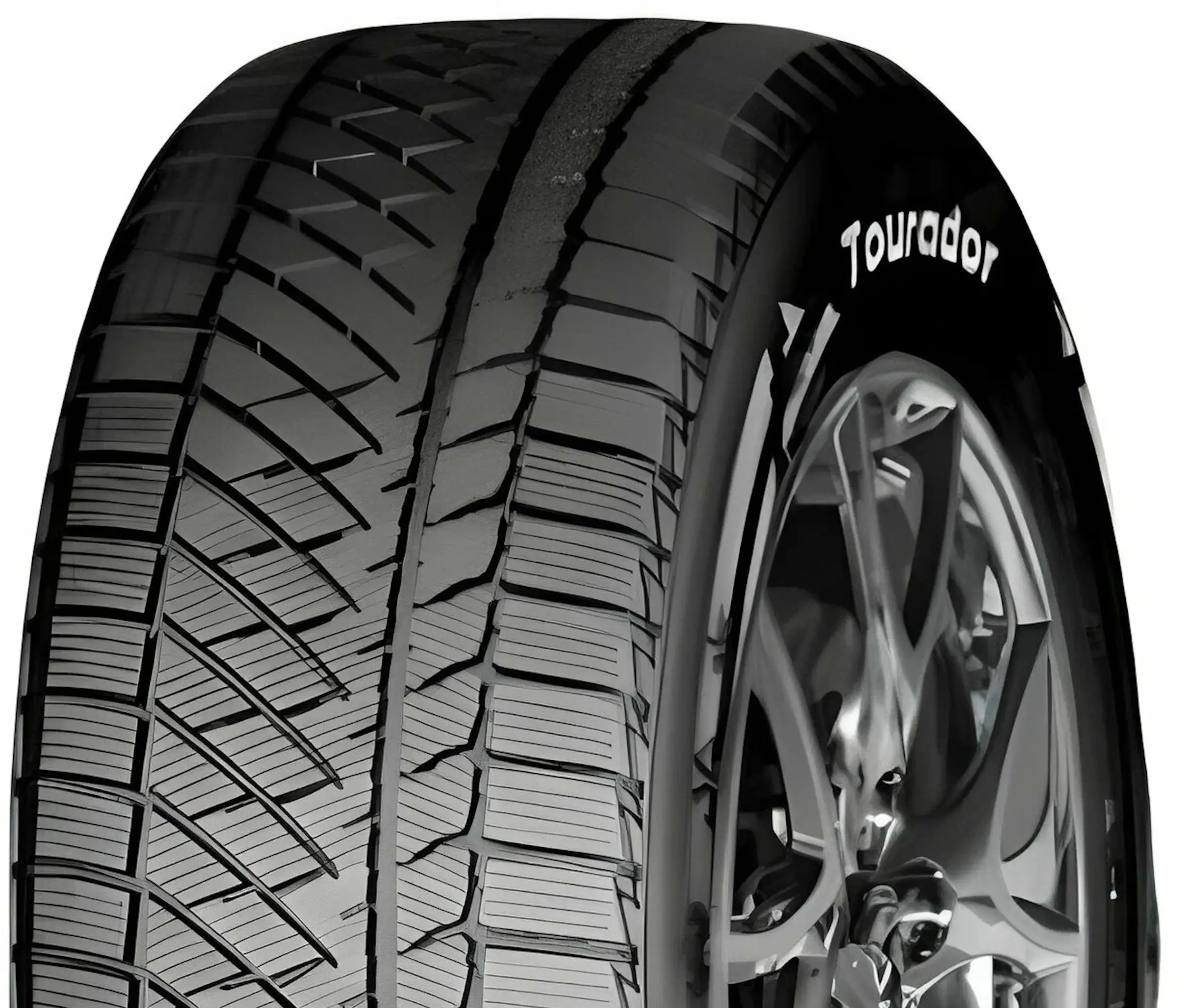 Шины Tourador Winter Pro TSS2 235/65 R18 110T - 3