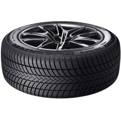 Шины Triangle TW421 EffeXWinter 245/45 R20 103V Thumb