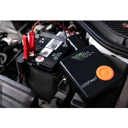 Redresor Costway AX10011 (Black) Thumb