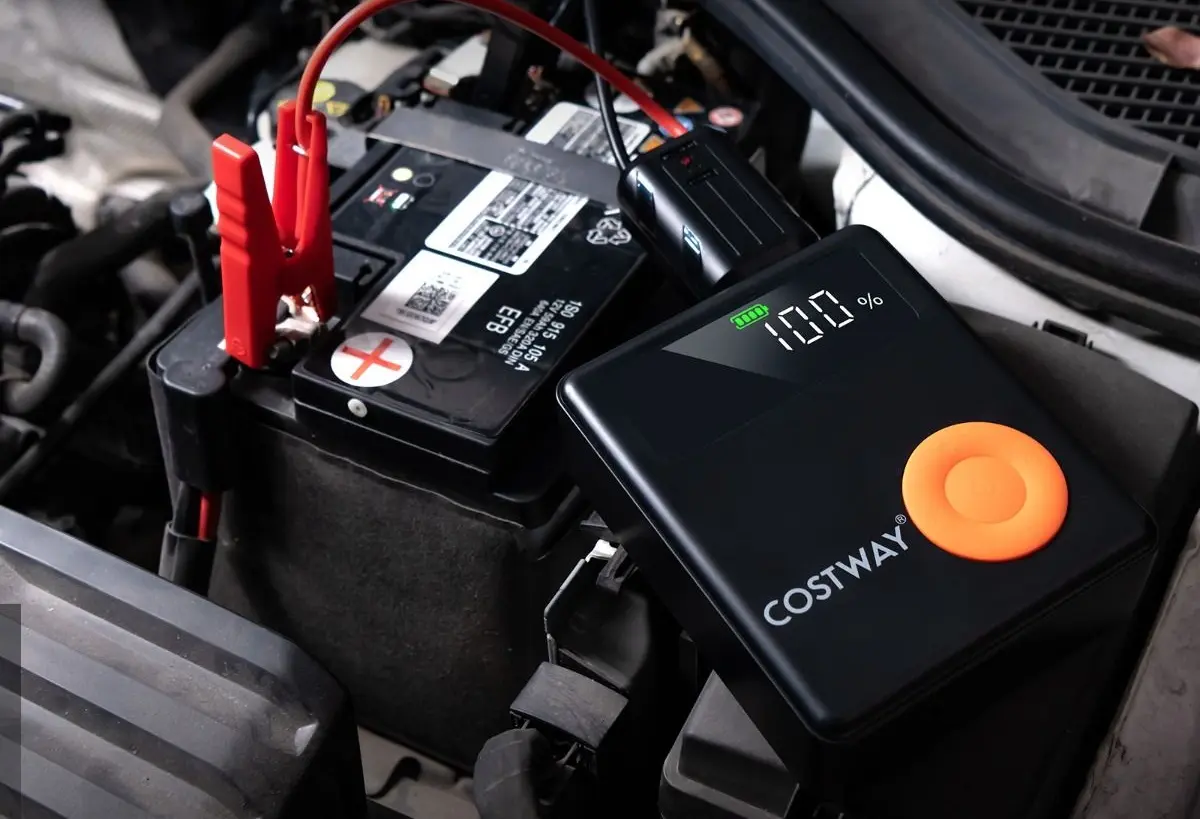 Redresor Costway AX10011 (Black)