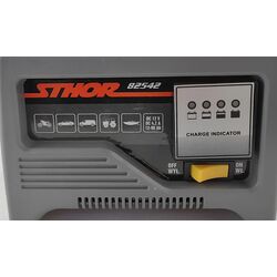 Зарядное устройство Sthor 82542 Thumb