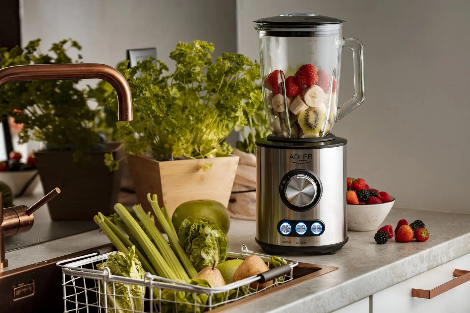 Блендер Adler AD 4078 (Inox)
