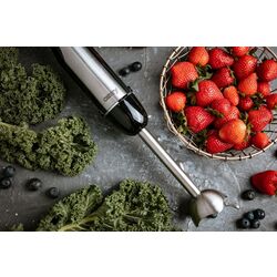 Blender Adler CR 4615 Smoothie (Silver/Black) Thumb