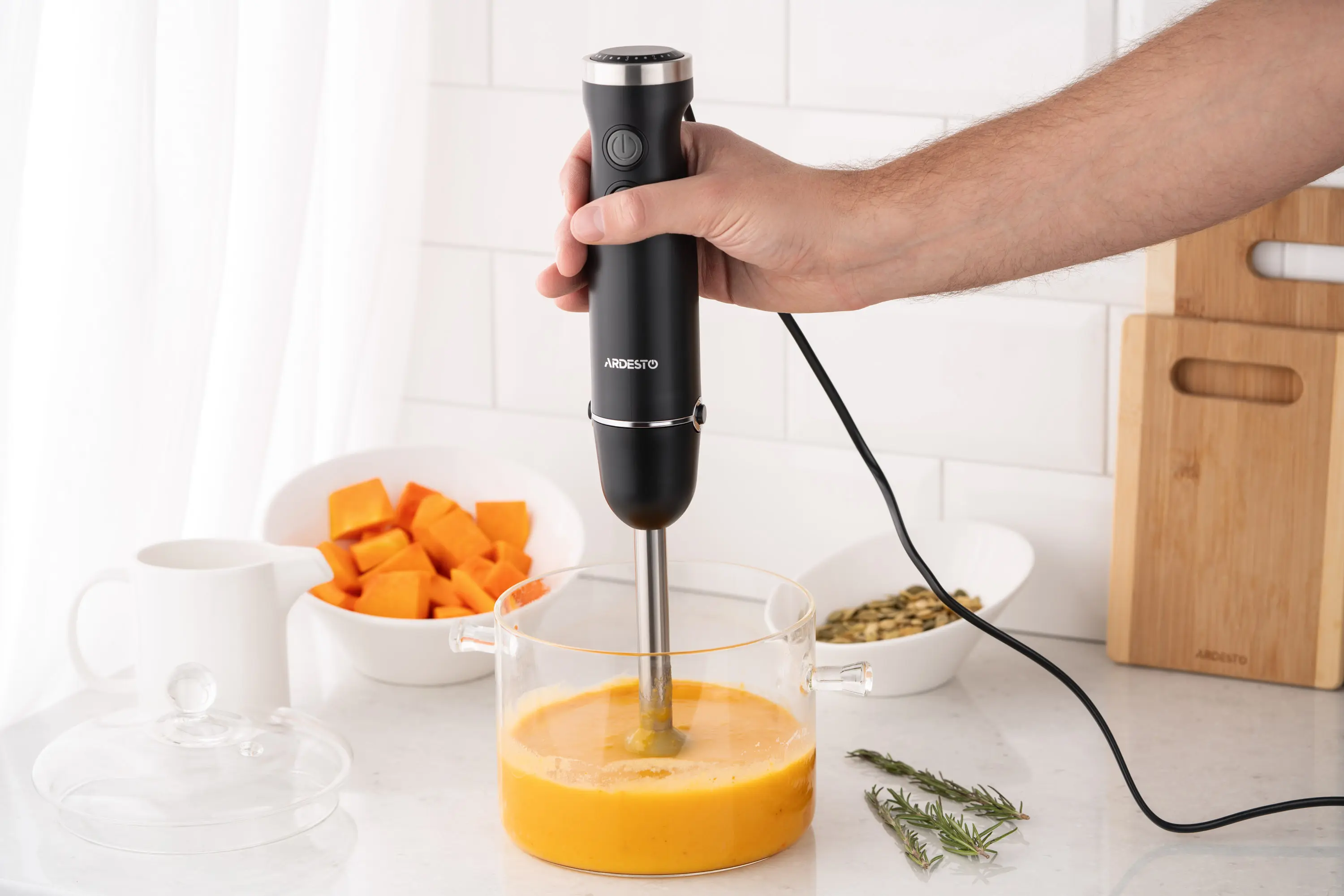 Blender Ardesto HBG-600B (Black)