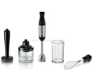 Blender Bosch ErgoMaster MSM6M623 (Black/Inox)