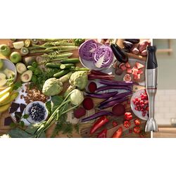 Blender Bosch ErgoMaster MSM6M8X1 (Black/Inox) Thumb