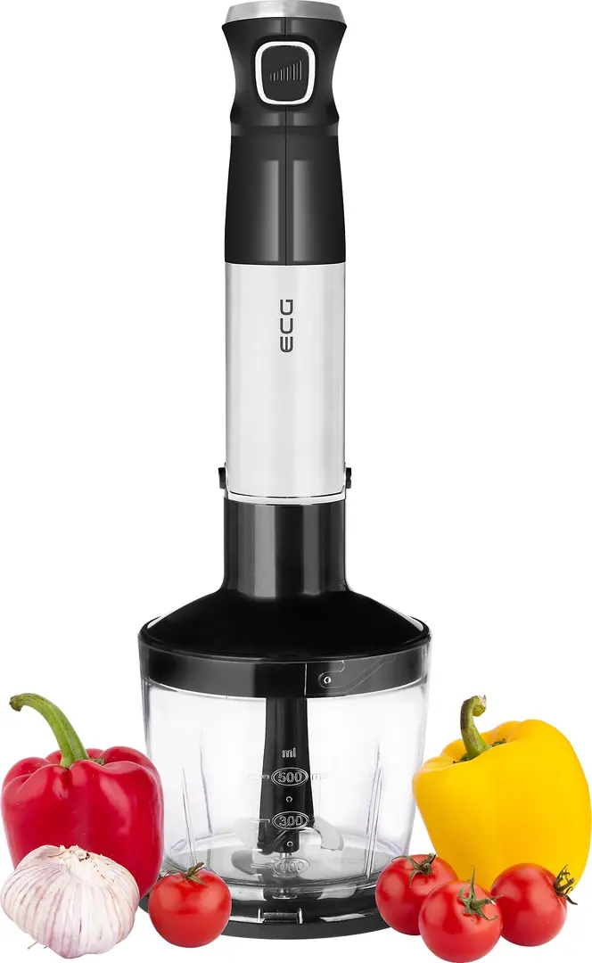 Blender ECG RM 800 (Silver/Black)
