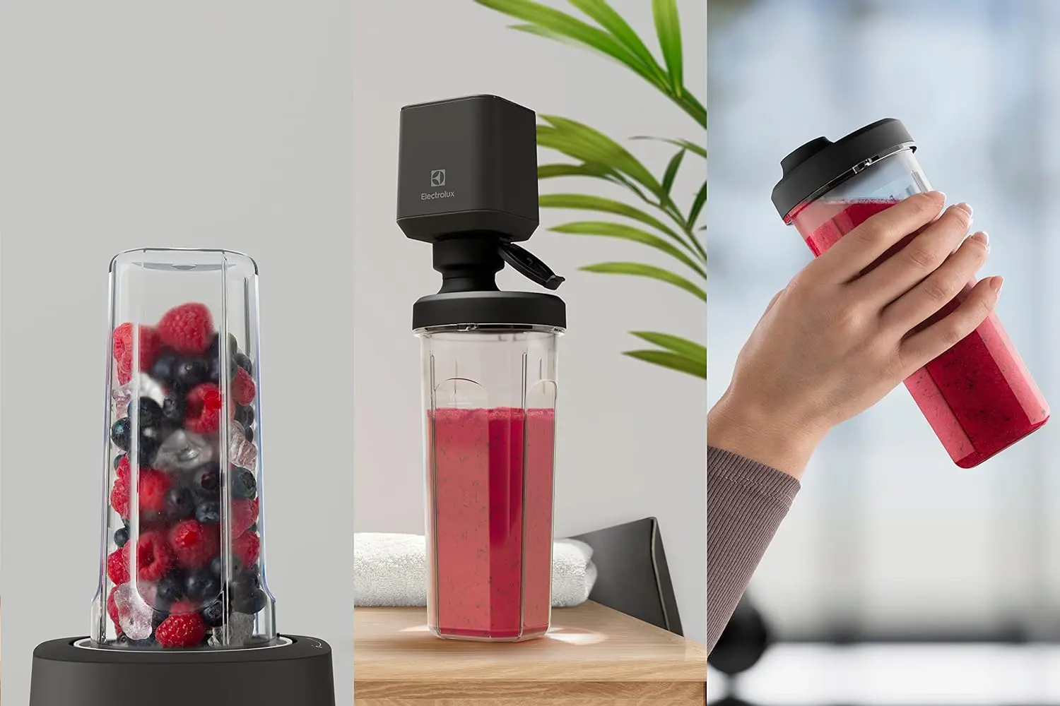 Blender Electrolux Explore 6 E6VB1-8ST (Inox/Black)