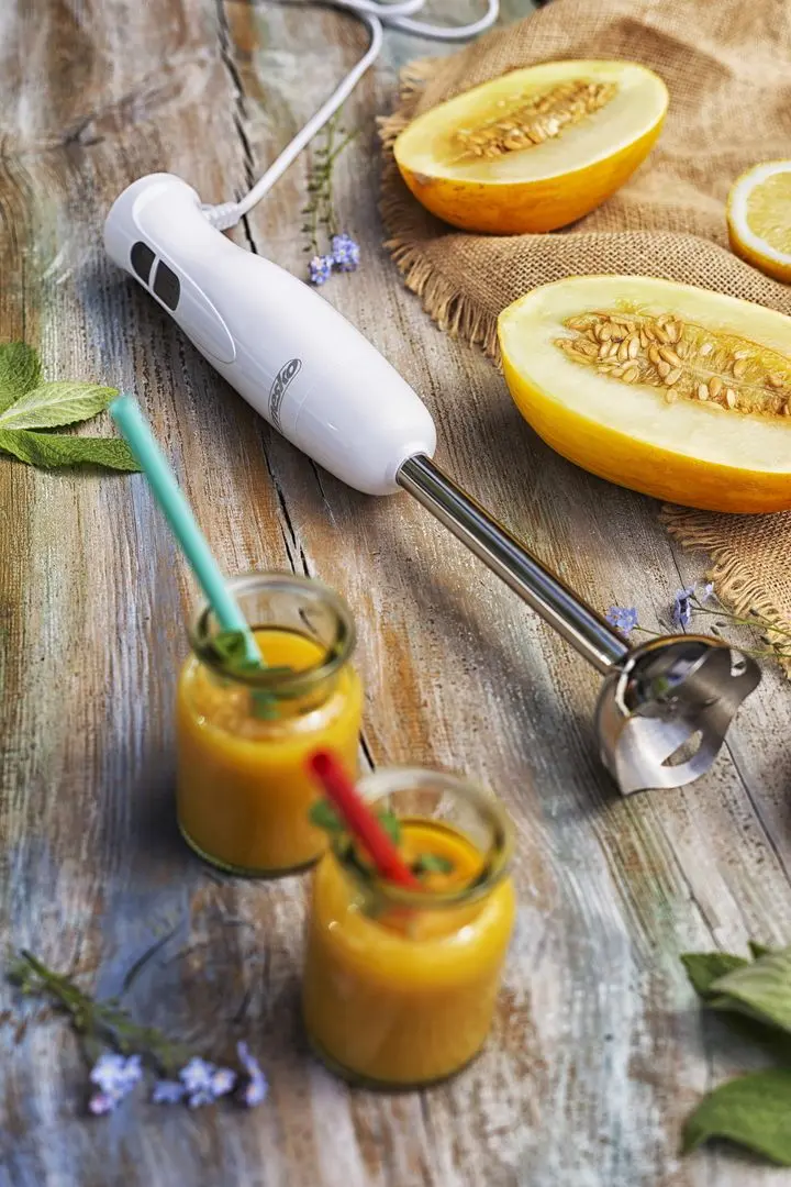 Blender Mesko MS 4619 (White)