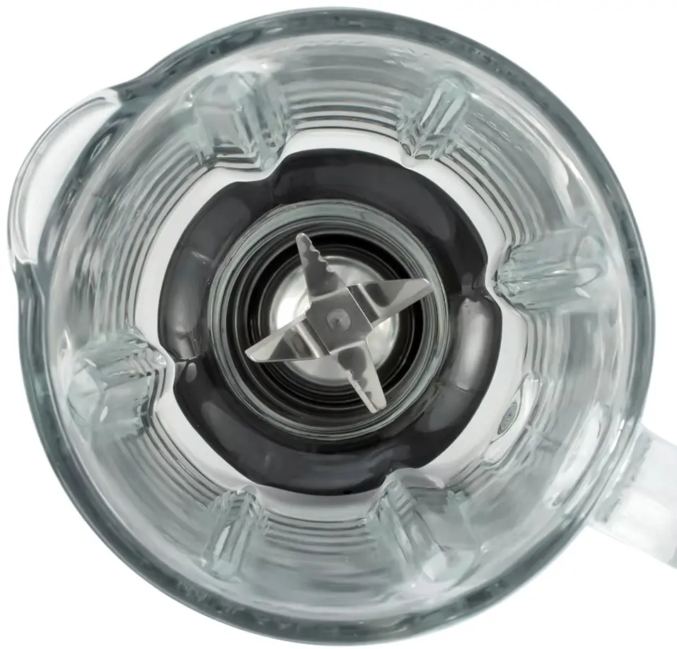 Блендер RAF R.295 (Inox)