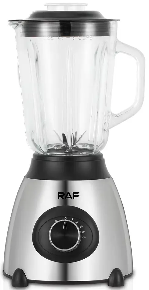 Блендер RAF R.295 (Inox)