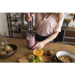 Blender Zass ZHB 20 (Black/Rose Gold) Thumb