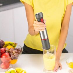 Блендер Zelmer Vario ZHB4652 (Gray/Red) Thumb