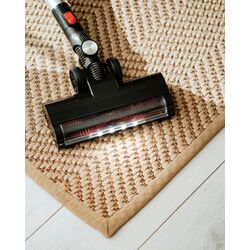 Aspirator vertical Adler AD 7048 (White/Black) Thumb