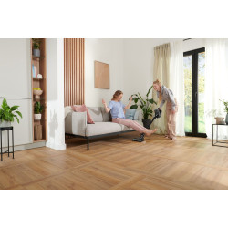 Вертикальный пылесос Amica VM XPro Dark (Black) Thumb