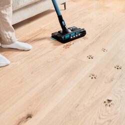 Aspirator vertical 4in1 Cecotec Conga Rockstar 6500 Century ErgoWet Animal (Black/Blue) Thumb