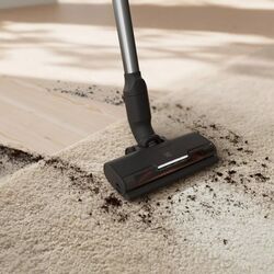 Вертикальный пылесос Electrolux EP71AB14UG (Grey/Black) Thumb