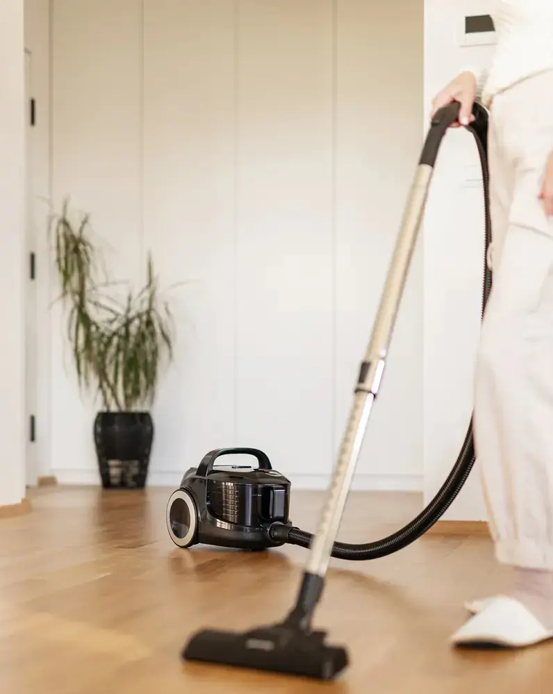 Aspirator Gorenje VC1901G2ABK (Black)