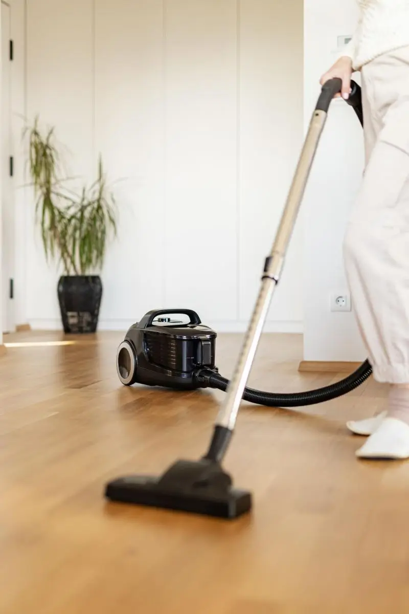 Aspirator Gorenje VCE01G4AEBK (Black)