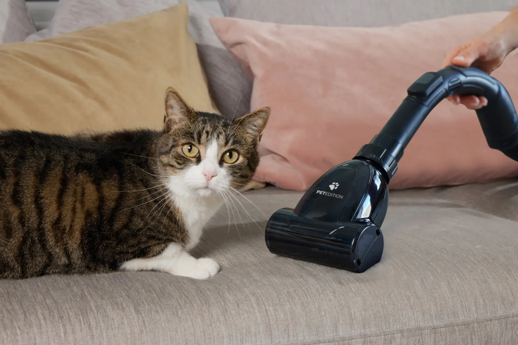 Пылесос Gorenje VCE08GAPGOCY (Brown/Black)