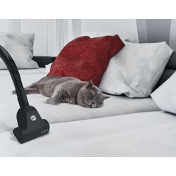 Пылесос Hoover Telios Extra Lite TXL20PET011 (Black) Thumb