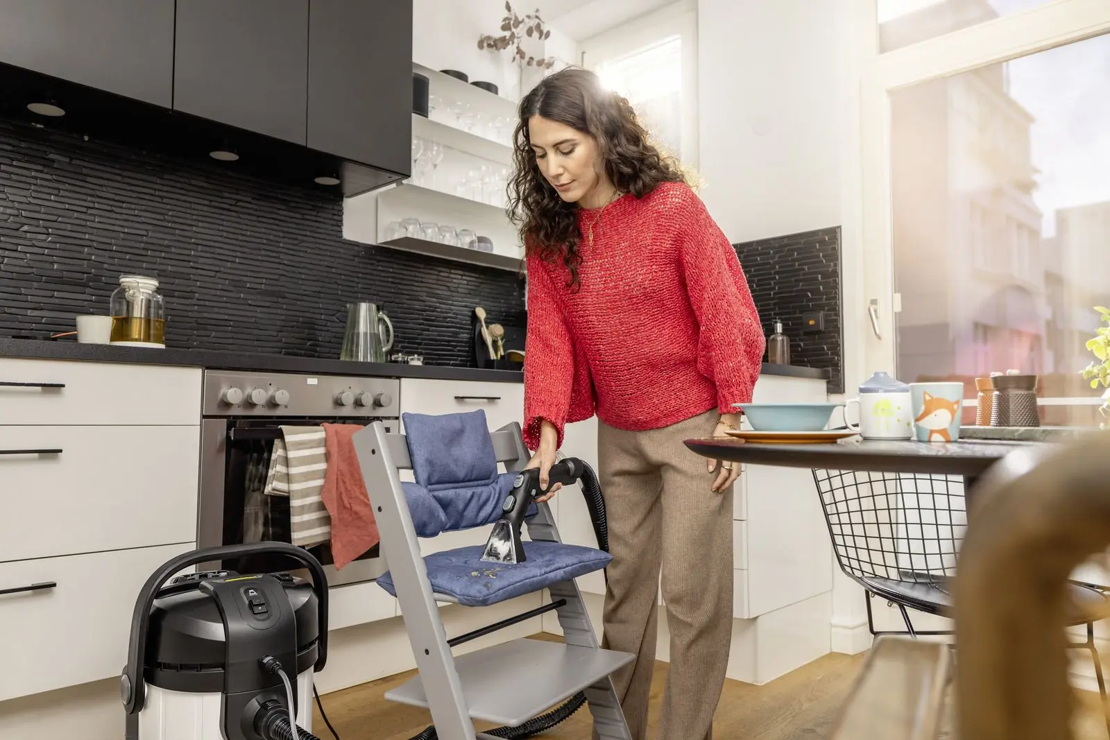 Моющий пылесос Karcher SE 4 Plus EU 1.081-171.0 (White/Black)