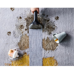 Aspirator cu spalare Rowenta Clean IT IN5020F0 (Black) Thumb