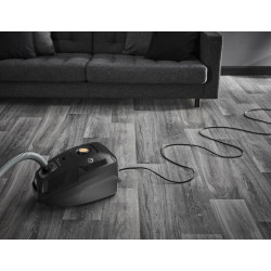 Aspirator Rowenta Green Force Effitech RO6189EA (Black) Thumb