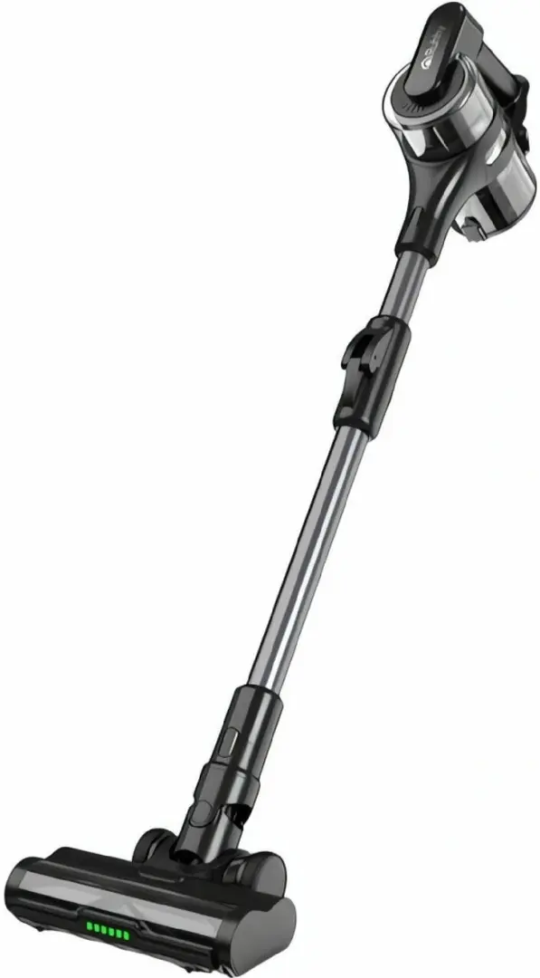 Вертикальный пылесос Ruhhy LunPro 26708 (Black)