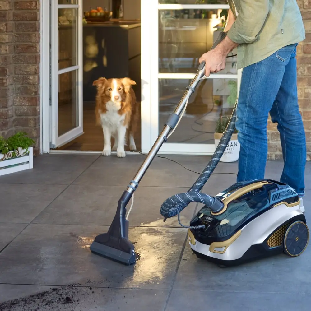 Aspirator Thomas Amfbia Pro 4All (Black/White)