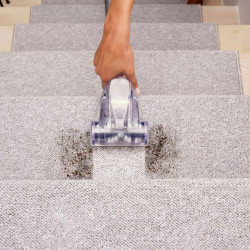 Aspirator vertical Vax Air Stretch Pet Max U85-AS-PME (Silver/Purple) Thumb