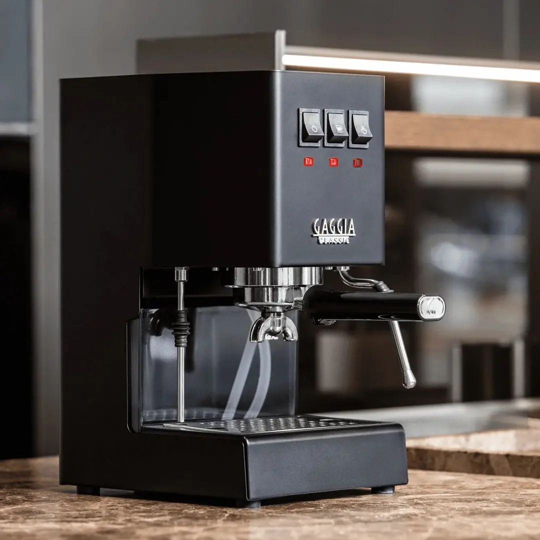 Кофемашина Gaggia Classic E24 RI9481/14 (Black)