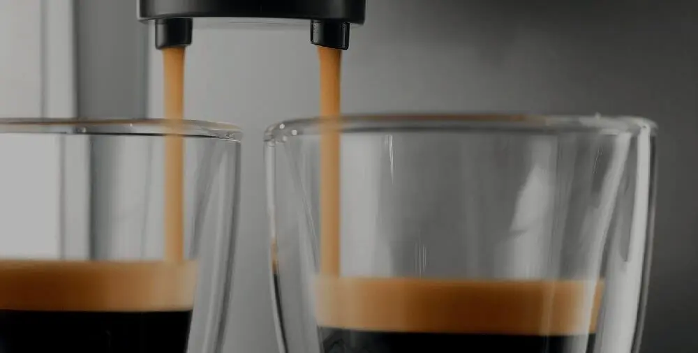 Aparat de facut cafea Gaggia Viva Deluxe RI8435/11 (Black/Silver)