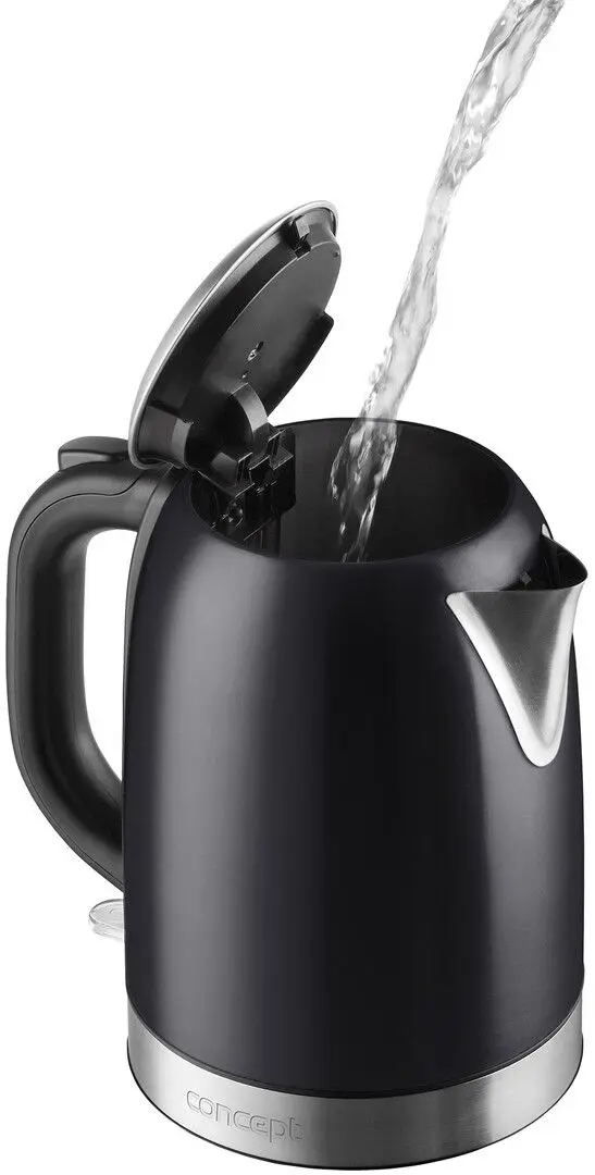 Fierbator electric Concept RK-3244 (Black)