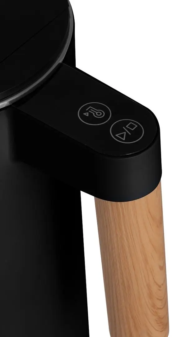 Fierbator electric Concept RK3301 (Black/Wood)