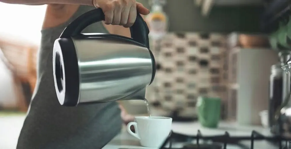 Fierbator electric Esperanza EKK116S (Silver)